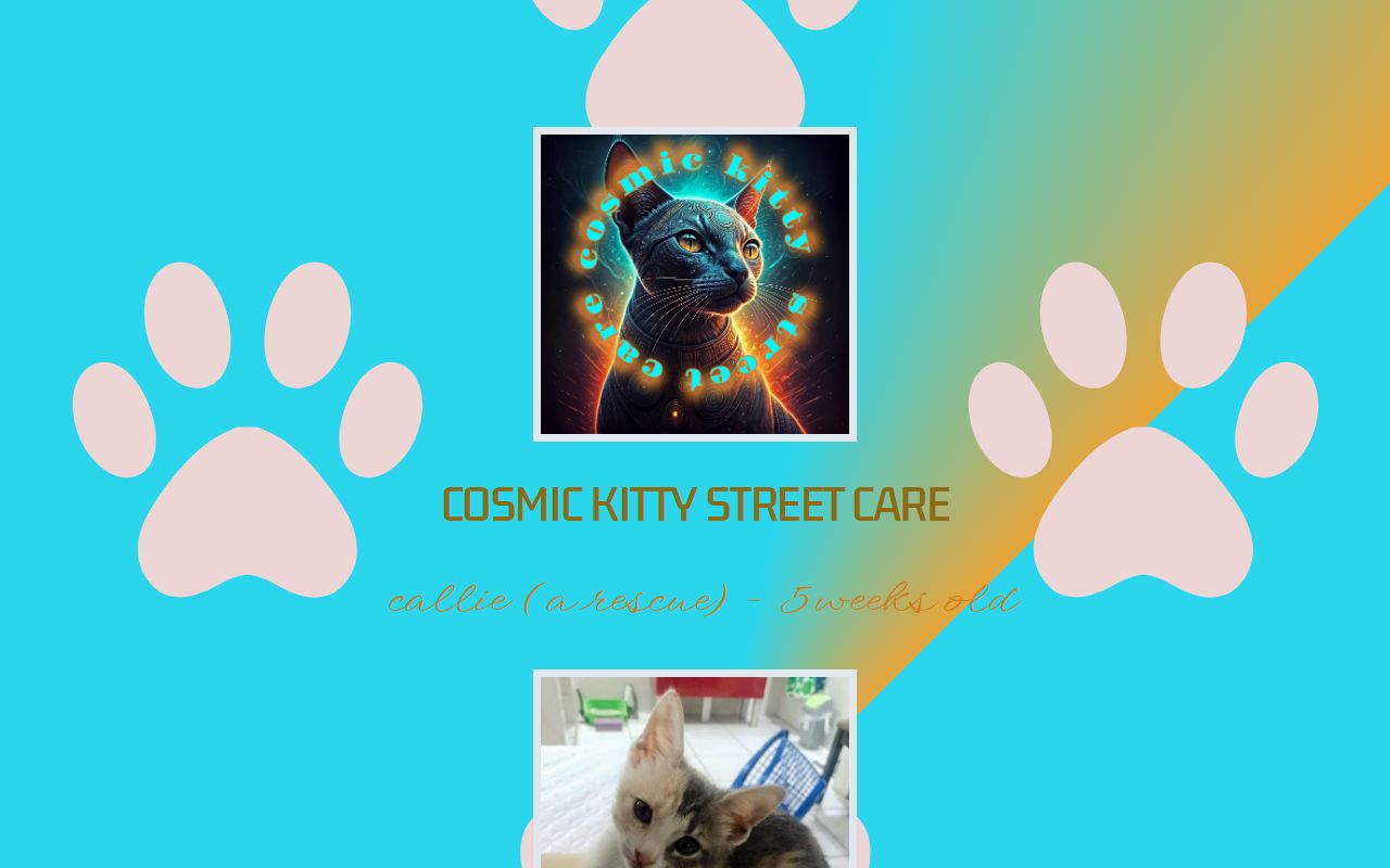 Cosmic Kitty Street Care